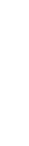 黒トリュフを削ります