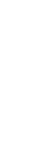 黒トリュフを削ります